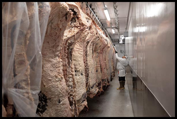 Where Does Your Meat Come From?
