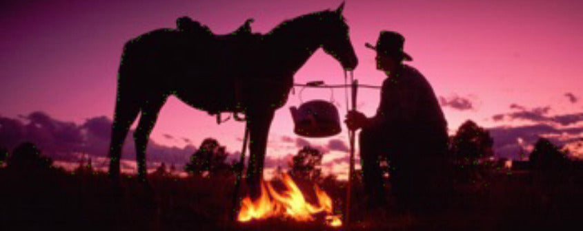 Melissa's Moroccan Chicken and Apricot Meatballs