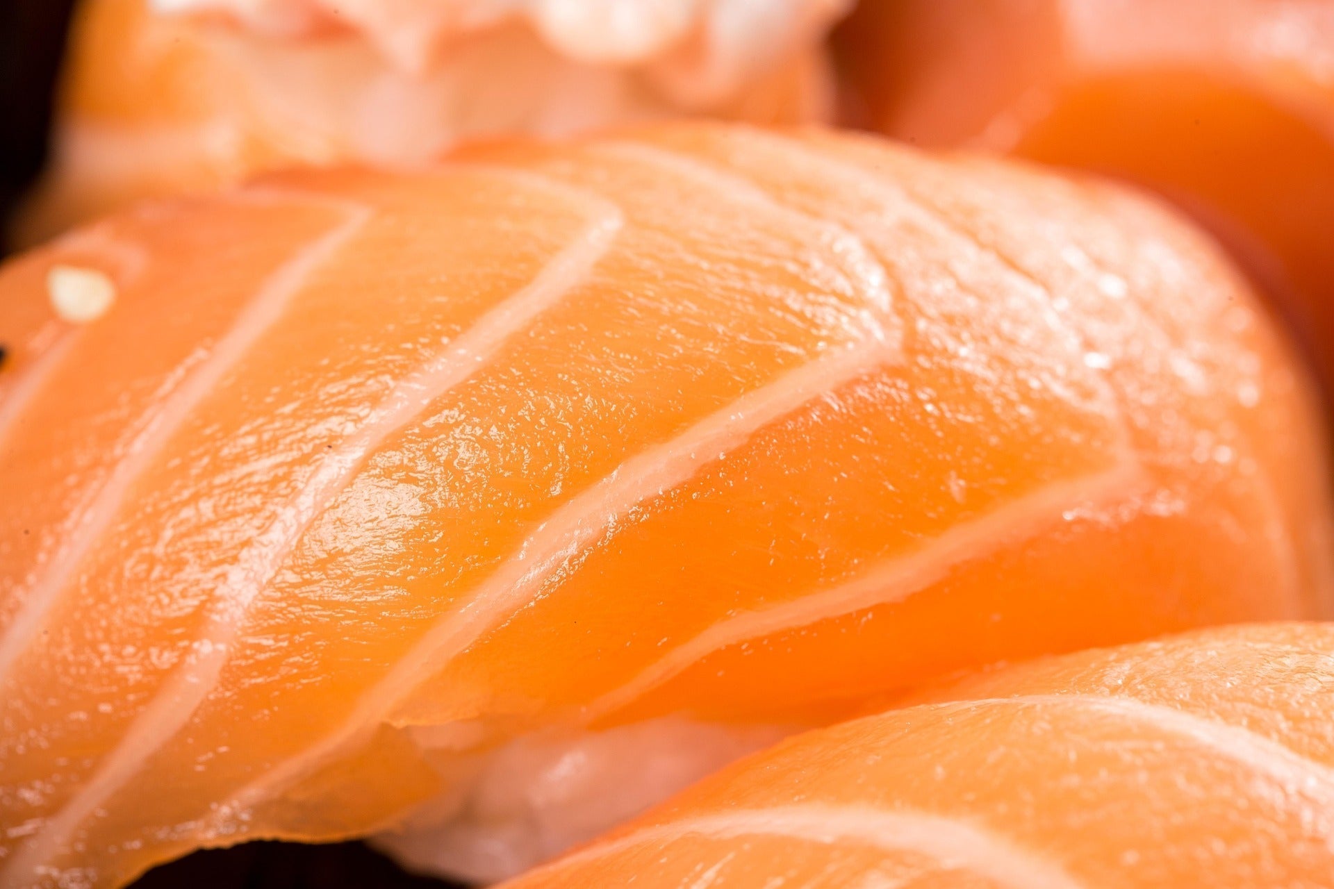 wild salmon fillets health benefits