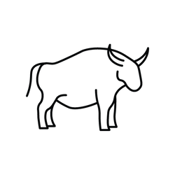 Grass Fed Buffalo