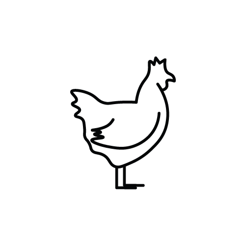 Organic Chicken