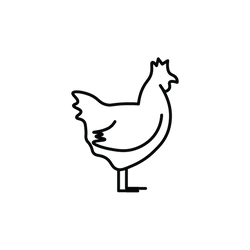 Organic Chicken