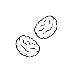Beef Ground & Patties