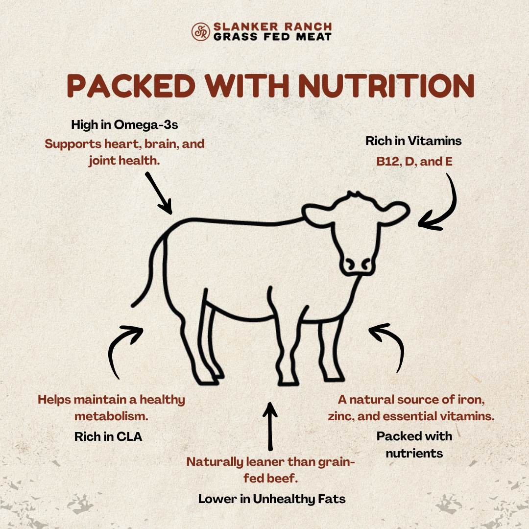 Diagram of a cow with nutritional benefits text on a beige background, featuring 'Slanker Ranch Grass Fed Meat' branding.
