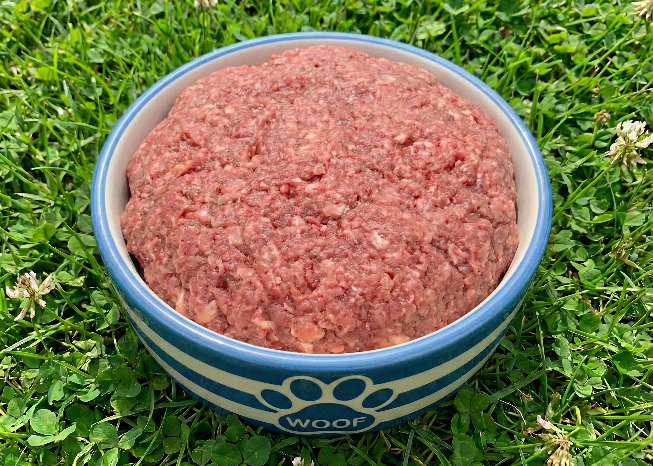 Omega-3 Chicken Mince Pet Treat