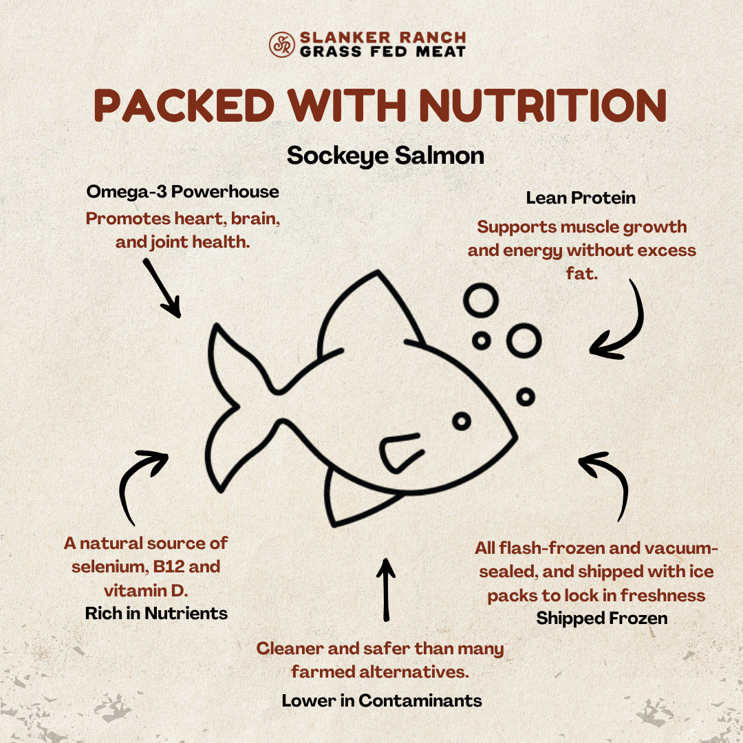 Diagram of wild caught Sockeye Salmon, highlighting nutritional benefits and freshness