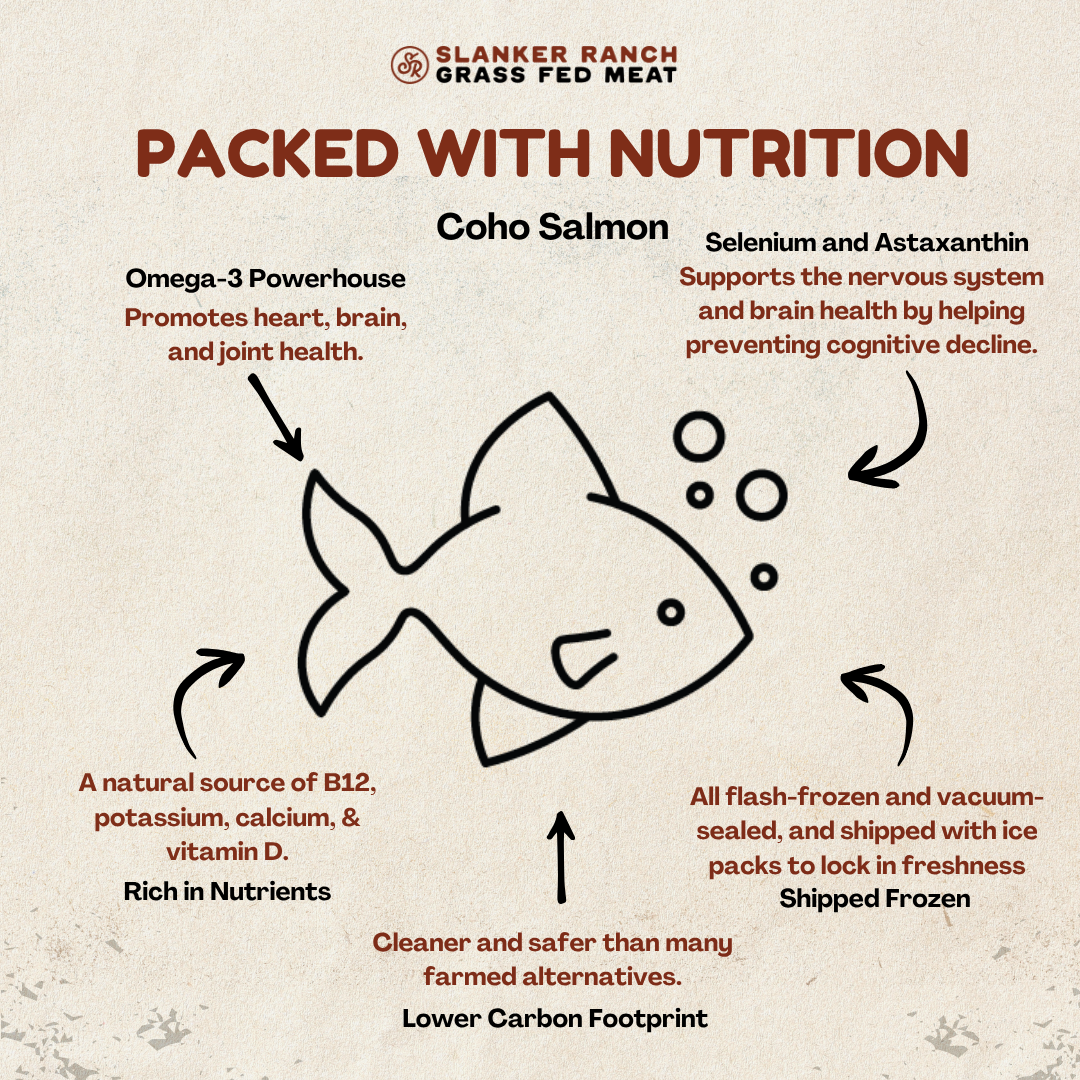 Diagram of Coho salmon, highlighting nutritional benefits