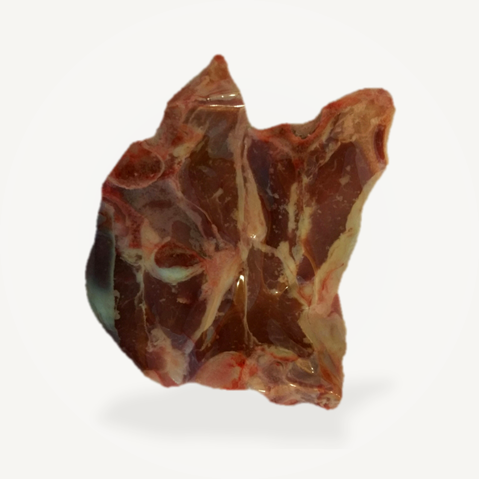Goat T-bone steak in package