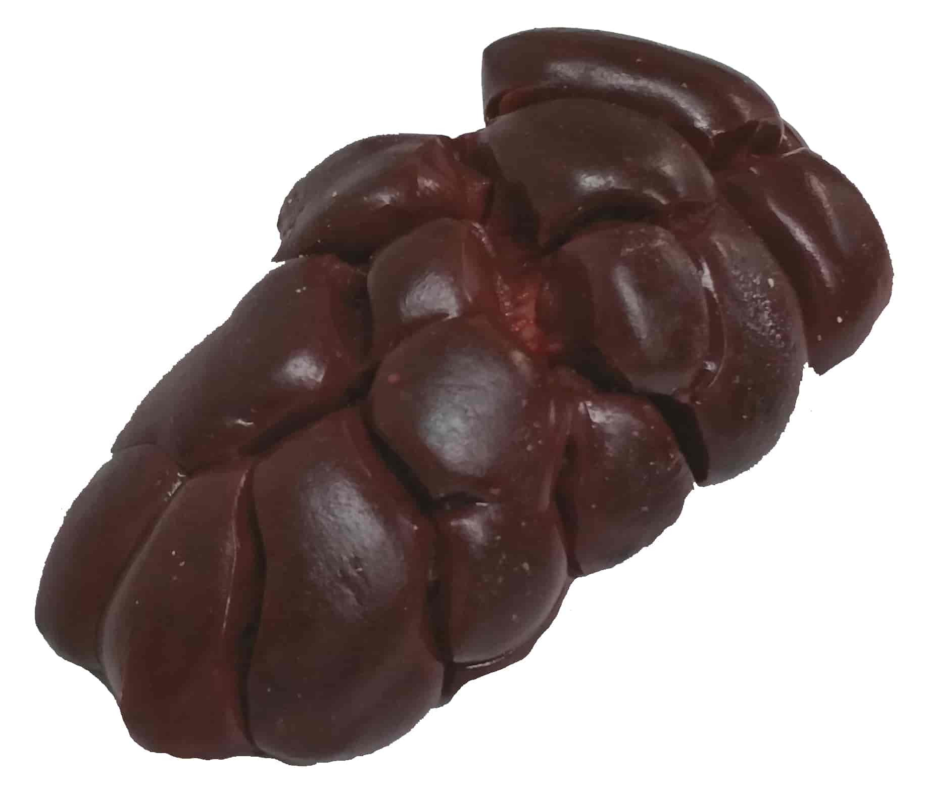 Beef Kidney