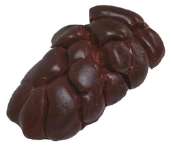 Beef Kidney
