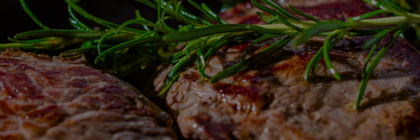 Close-up of grilled meat with rosemary on a dark background