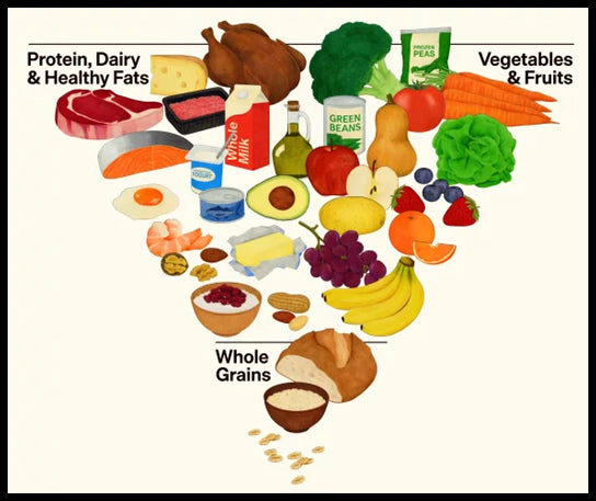 Food pyramid with protein, dairy, healthy fats, vegetables, fruits, and whole grains