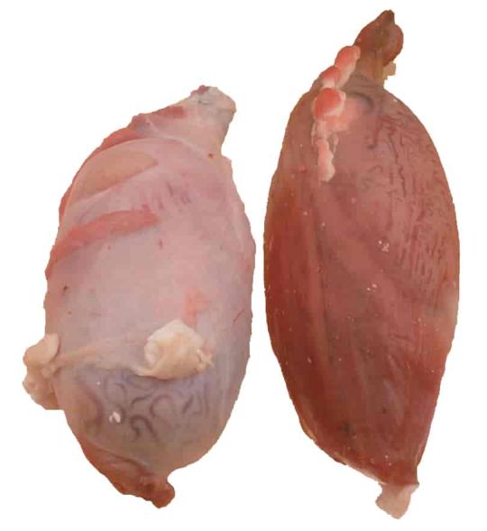 Beef Brisket Bones Pets