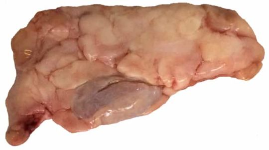 Beef Sweetbreads