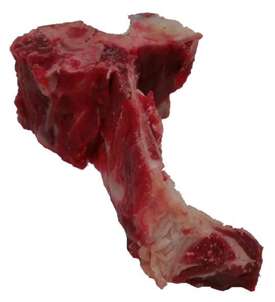 Can dogs have t bone steak bones online