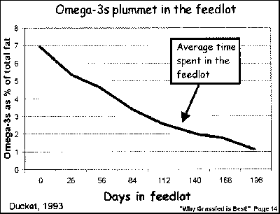 Omega 3 Chart