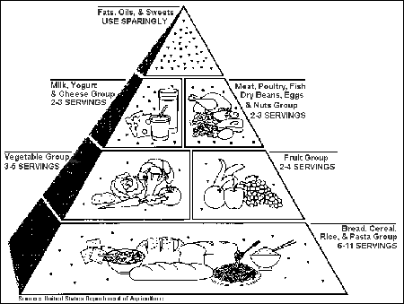 USDA Old Food Pyramid