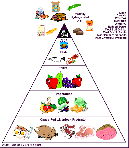 Caveman Food Pyramid