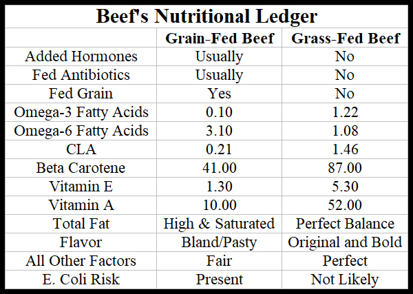 Beef's Nutritional Ledger