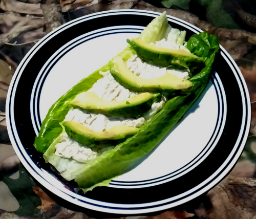 Chicken Salad with Ranch and Avocado