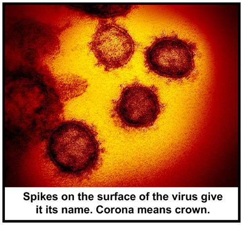 Coronavirus Covid